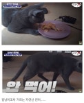 자연산 회 먹을 때 조심해야 하는 이유 | 유머 게시판 | 루리웹