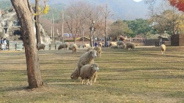 오늘 조은거 보고와따 | (백업)유머 게시판(2020-2021) 오늘 조은거 보고와따 | (백업)유머 게시판(2020-2021) | 루리웹