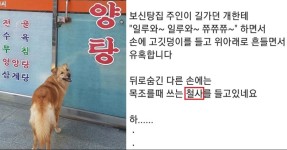 한국의 개고기문화에 대해 알아보자 | (백업)유머 게시판(2020-2021) 한국의 개고기문화에 대해 알아보자 | (백업)유머 게시판(2020-2021)... 