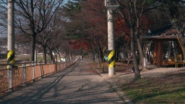 대천천 따라 걷기 | 대전 동구 대천천동로 | 국내여행 이야기 게시판 | RULIWEB 대천천 따라 걷기 | 대전 동구 대천천동로 | 국내여행 이야기... 