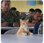 진도가 너무 빠릅니다