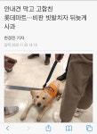 롯데가 일본기업이라서 욕먹는다는건 이젠 어불성설이지 | 정치유머 게시판 롯데가 일본기업이라서 욕먹는다는건 이젠 어불성설이지 | 정치유머... 