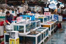 부산 청사포 기장시장