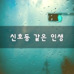 신호등 같은 인생