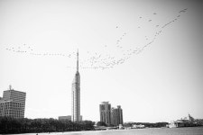 사진을 여행 인물 풍경 갤에 올리면 되는거였군요