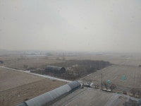 눈 엄청내리네 ㄷㄷ | (백업)유머 게시판(2020-2021) 눈 엄청내리네 ㄷㄷ | (백업)유머 게시판(2020-2021) | 루리웹