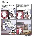쉐프의 샐러드