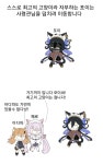 최강의 고양이 | 유머 게시판 | 루리웹
