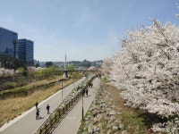 이것이 판교다 ㅡ희망편ㅡ | 유머 게시판 | 루리웹 l RULIWEB 이것이 판교다 ㅡ희망편ㅡ | 유머 게시판 | 루리웹