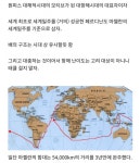 원피스빅맘 양심설 반박