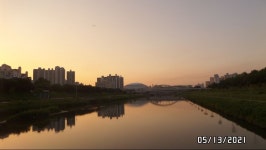 5.13.21.목 안양천 | 여행 행사 풍경 사진 갤러리 5.13.21.목 안양천 | 여행 행사 풍경 사진 갤러리 | 루리웹