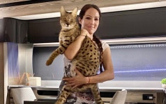 서벌 고양이 사바나 캣 그럼 삵 고양이는