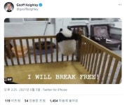 [루머] 엘든링, 곧 섬머겜페스트 에서 공개되나 | 플레이스테이션 정보 [루머] 엘든링, 곧 섬머겜페스트 에서 공개되나 | 플레이스테이션... 