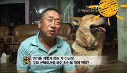 주인과 종교가다른 천재견 신덕이 ㅋ