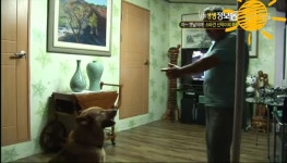 주인과 종교가다른 천재견 신덕이 ㅋ