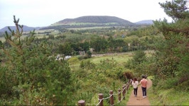제주 아부오름 | 유머 게시판 제주 아부오름 | 유머 게시판 | 루리웹