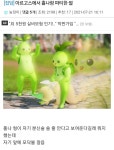 로아 홀리의 현실