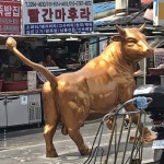 Q 내일 난생첨 서울 마장동 고기시장 가는데