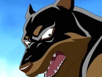 하얀마음 백구에서 많이들 모르는 사실