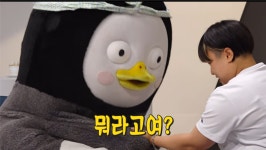 3대 200 치는 펭수.jpg | 유머 게시판 3대 200 치는 펭수.jpg | 유머 게시판 | 루리웹
