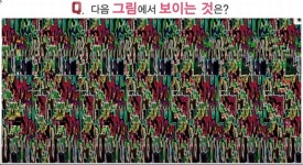 매직아이는 왜보게되면 더 뚜렷하게 보일까