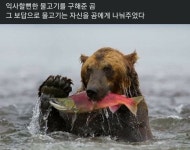 은혜갚은 물고기