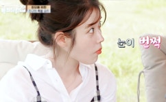 바퀴달린집아이엔씨(주) | 바퀴 달린 집