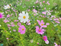 깡촌인줄 알았는데 도시가 되어있었던 현풍.. | 국내여행 이야기 게시판 깡촌인줄 알았는데 도시가 되어있었던 현풍.. | 국내여행 이야기 게시판... 