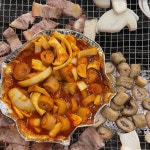 캠핑초보의 바베큐거리에요