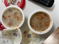 감기 개 심해서 죽이라도 사왔더니 | 유머 게시판 감기 개 심해서 죽이라도 사왔더니 | 유머 게시판 | 루리웹