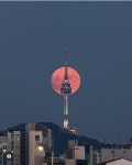 남산에 뜬 보름달 | 정치유머 게시판 남산에 뜬 보름달 | 정치유머 게시판 | 루리웹