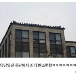 경북대학교 비둘기 대참사