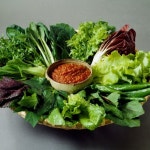 초딩시절의 나 야채 안먹어 평생 고기만 먹을거야