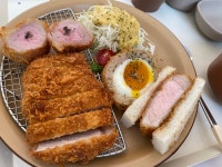 붓산) 숙소 체크인했는데 벌써 지치넼ㅋㅋㅋ | 유머 게시판 붓산) 숙소 체크인했는데 벌써 지치넼ㅋㅋㅋ | 유머 게시판 | 루리웹