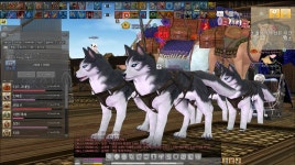 마비노기 허스키 귀엽네 ㅋㅋ