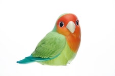 초스압2021년에 찍은 사진 모음집