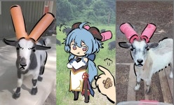 (원신) 넘나 귀여운 감우짤 | 유머 게시판 (원신) 넘나 귀여운 감우짤 | 유머 게시판 | 루리웹