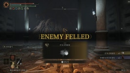 미세팁 구별된 설원 지하 묘지 공략법