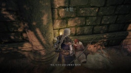 엘든링 이 이쁜누나는 이벤트npc인가