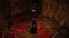 [엘든링]관광명소 틈새의 땅으로 오세요 | 유머 게시판 [엘든링]관광명소 틈새의 땅으로 오세요 | 유머 게시판 | 루리웹