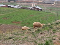 버튜버)와타메 직찍 | 유머 게시판 버튜버)와타메 직찍 | 유머 게시판 | 루리웹