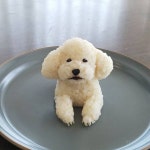 엄마가 해준 개같은밥 이거먹어야함