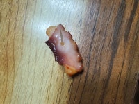 낚지 볶음 먹는데 이거 뭐냐? | 유머 게시판 낚지 볶음 먹는데 이거 뭐냐? | 유머 게시판 | 루리웹