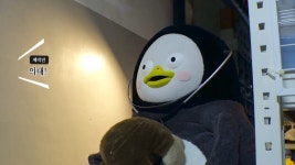 인방 서울대 의대 동물특별전형 면접 본 펭수