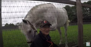 말딸?) 은퇴후 오랜만에 만난 구무원을 기억하는 고루시 | 유머 게시판 말딸?) 은퇴후 오랜만에 만난 구무원을 기억하는 고루시 | 유머 게시판... 