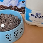 개밥그릇에 밥 먹는 사람의 상품후기