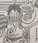 원피스스포삼선장 관계 요약