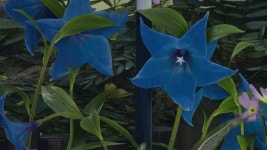 스팀판 입문자분들을 위한 그래픽 모드 두개 추천