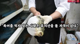 한중일 이 복어를 먹기위해 걸어온길