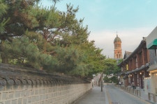 작년과 올해 사진들 올려봅니다사진주의